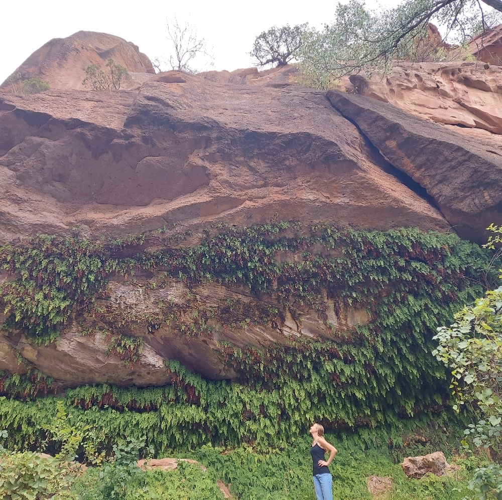 Meet your Posher, Hannah